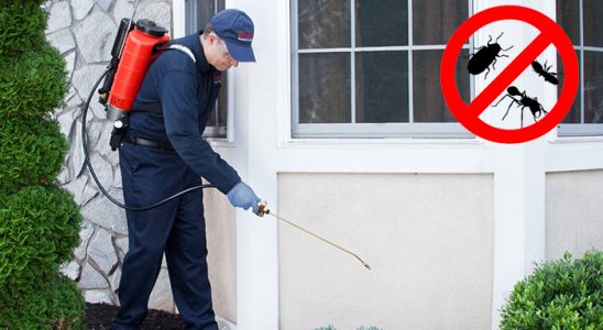 Keşap Dezenfeksiyon böcek ilaçlama ve haşere kontrolü — ilaclama-tr.com